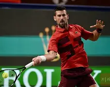 开云app在线下载-德约科维奇最新情况